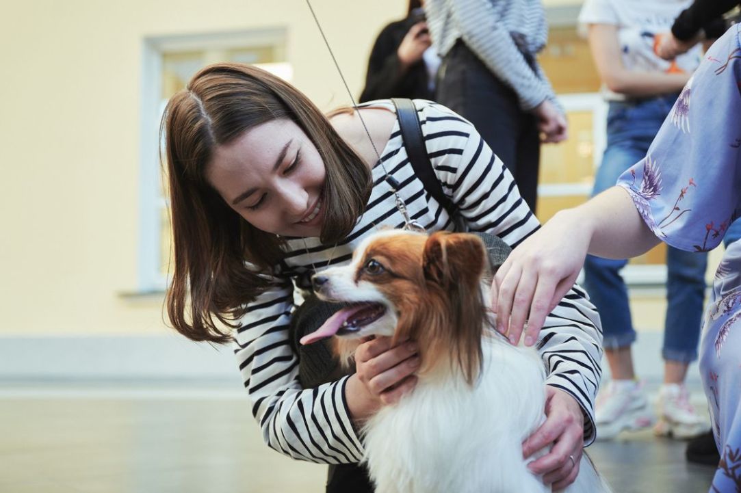 Иллюстрация к новости: Mental Health Day в Вышке: канистерапия и другие способы оказания первой психологической помощи