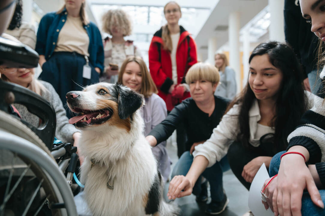 Иллюстрация к новости: Mental Health Spring в Вышке: «Мафия» по-новому, собаки-терапевты и полный релакс