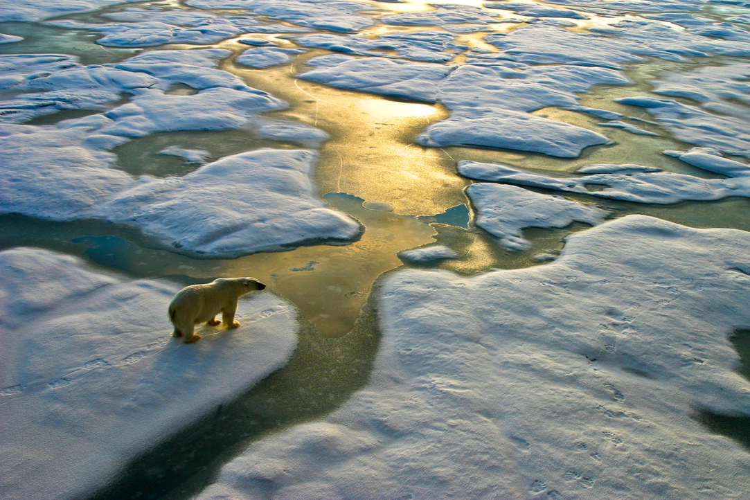 Illustration for news: 'The Main Focus Is on Providing an Understanding of What the Climate System Is'