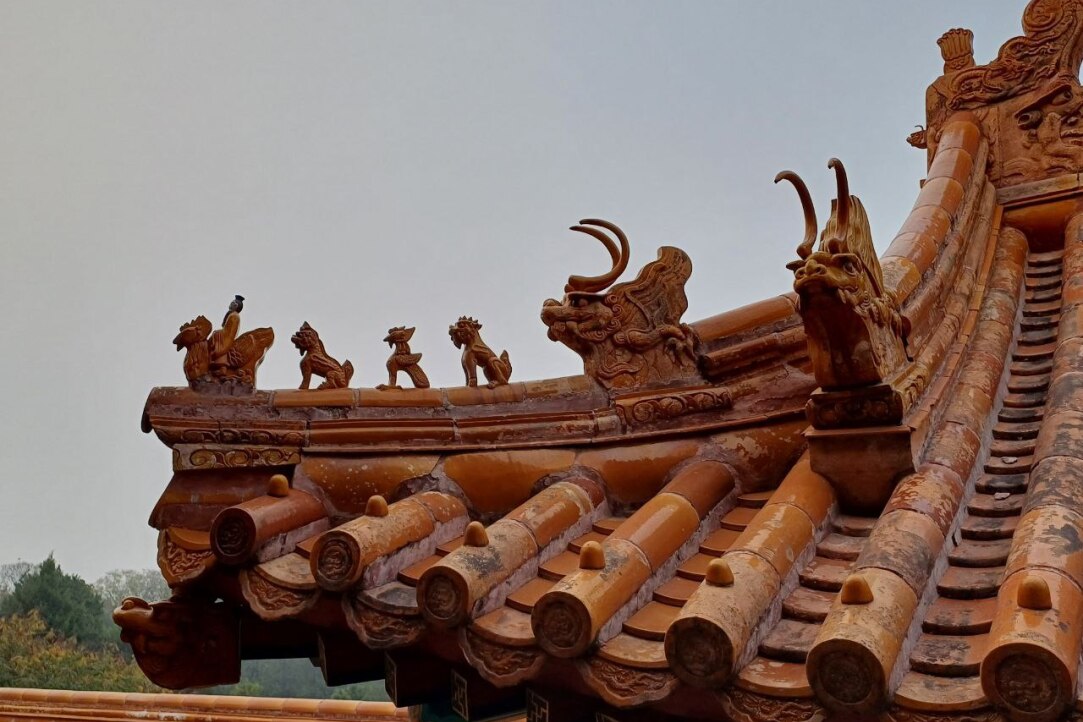 Illustration for news: Under a Blooming Magnolia: How Russian and Chinese Scientists Create Solar Cells of the Future